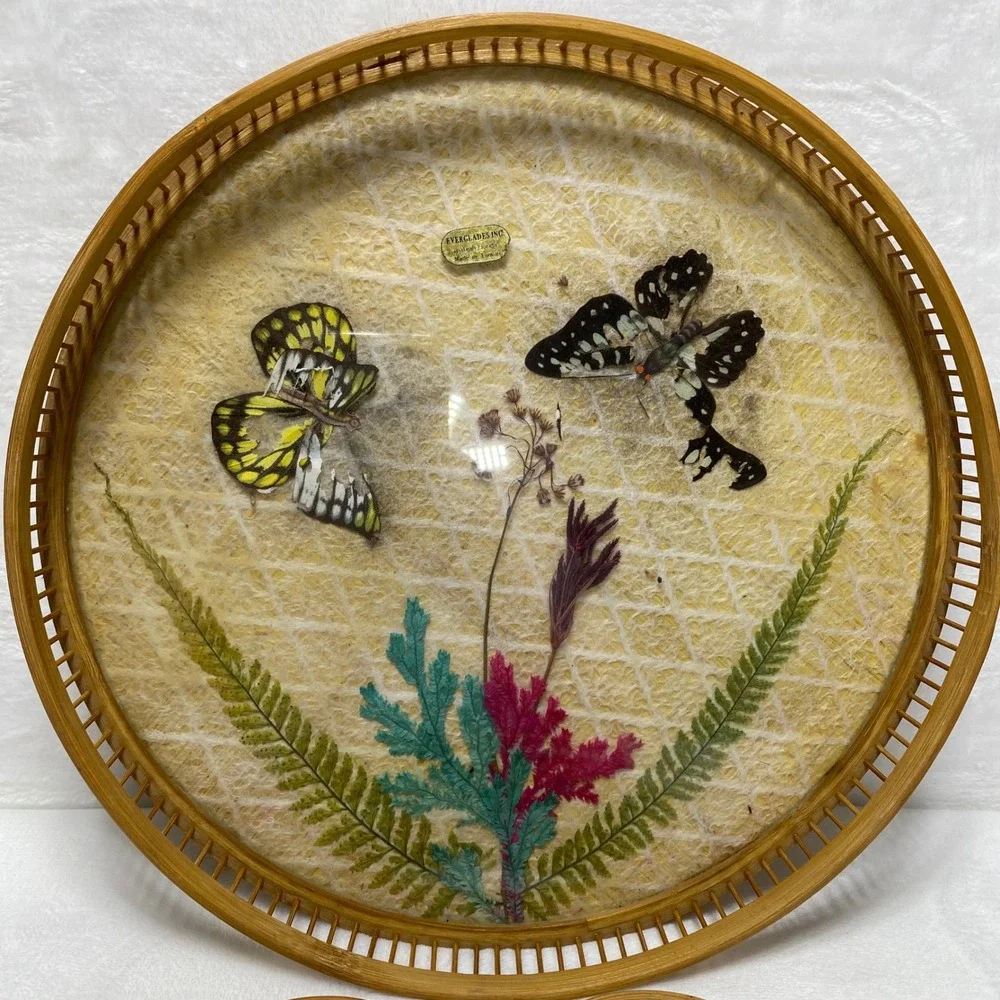 Everglades Vintage Butterfly Bamboo‎ Tray 4 Coasters Set Home Decor Cottagecore